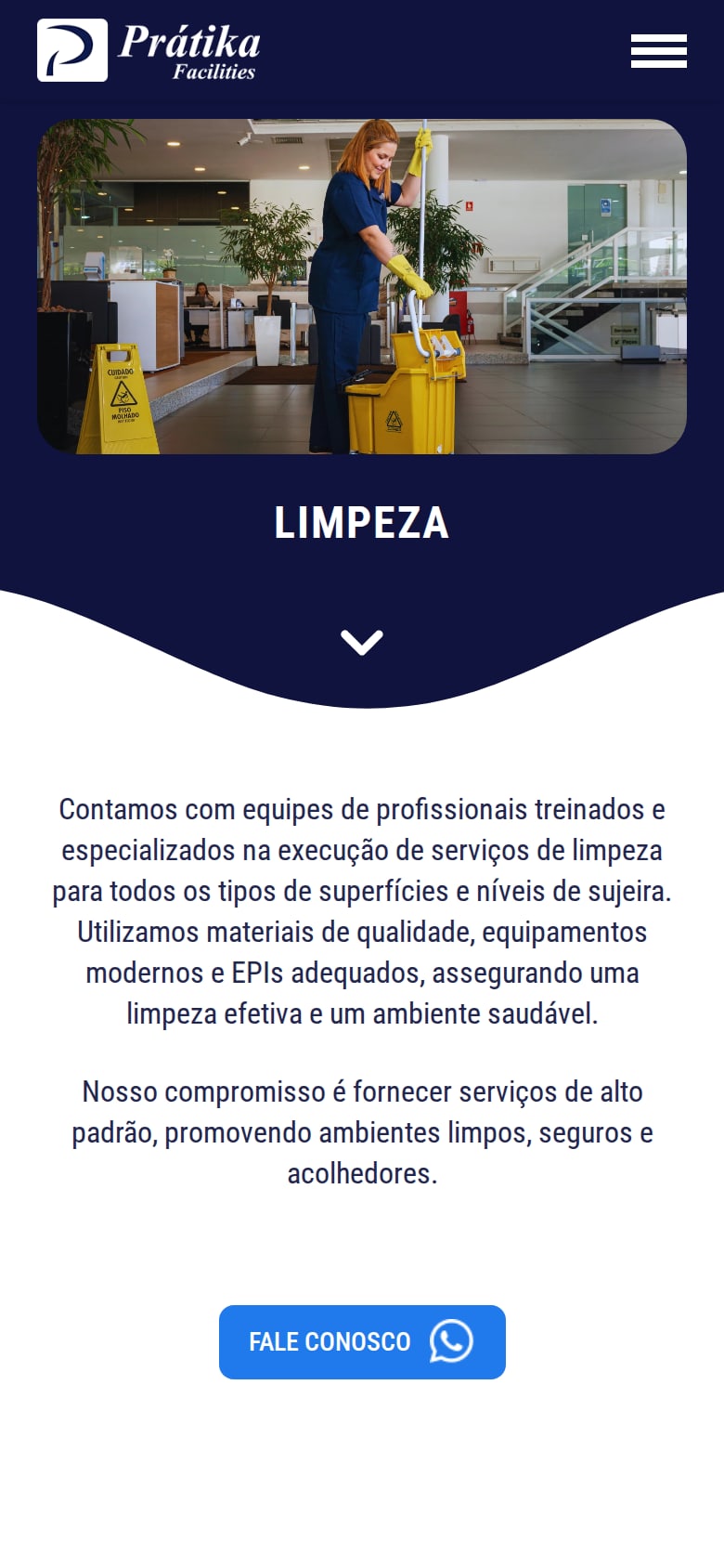 Página de limpeza do site antigo no celular: foto, título e um parágrafo